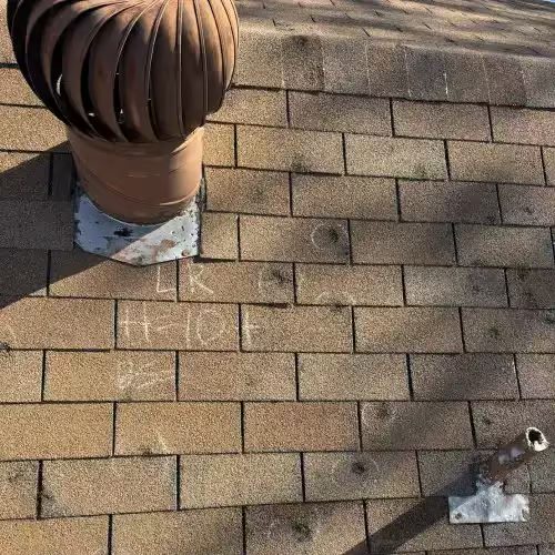Midwest hail damage granule loss macro detail - Madison roof